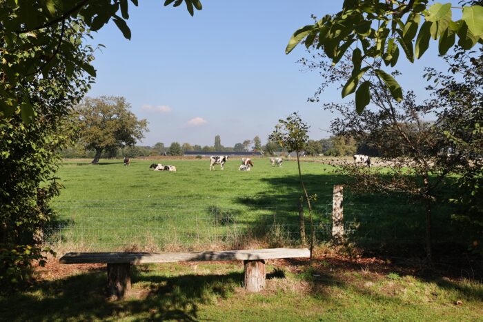 Iets Anders Makelaars - Landelijk wonen met uitzicht op weilanden in Aalten